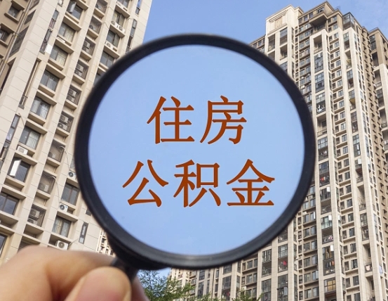 荆州退休后查不到公积金明细了吗（退休后公积金查询不到原因）